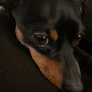 Meet your Posher, Clarence